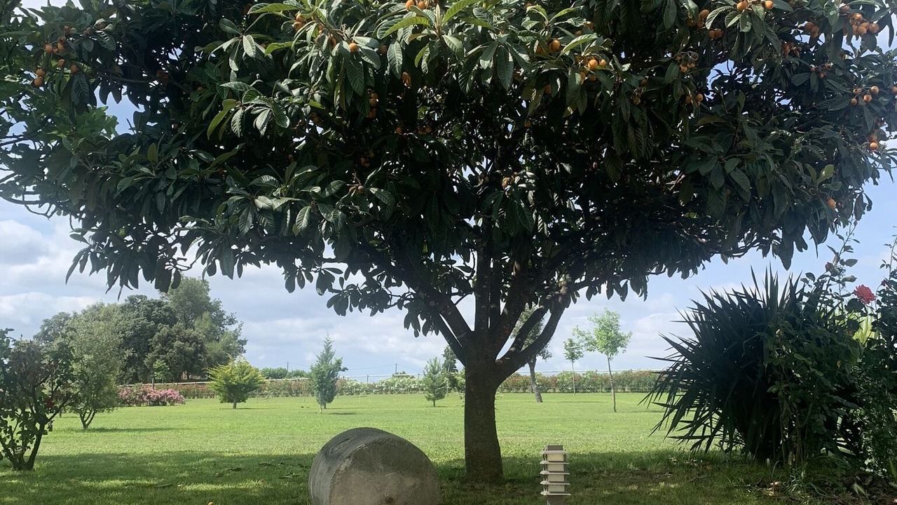 Photo of Outdoor in Vilobi Del Penedes