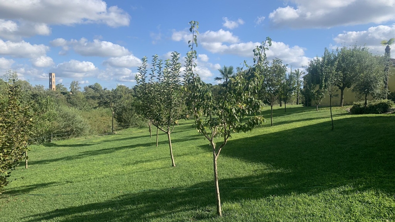 Photo of Outdoor in Vilobi Del Penedes