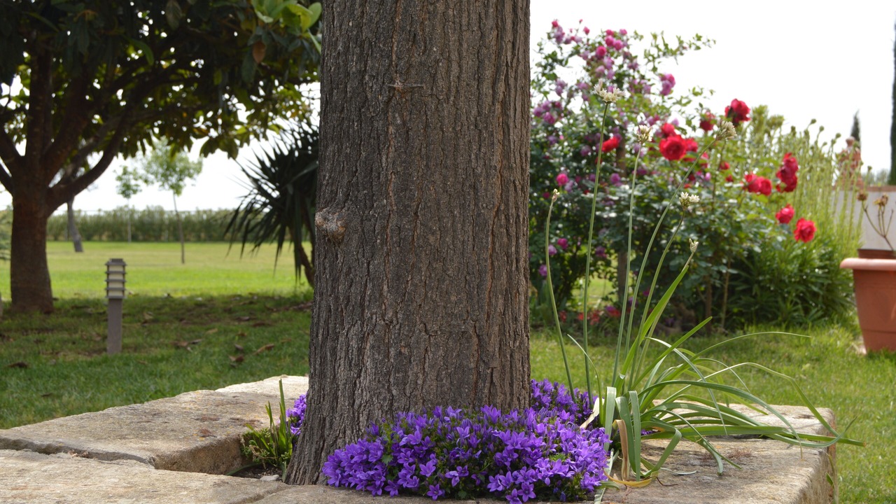 Photo of Outdoor in Vilobi Del Penedes