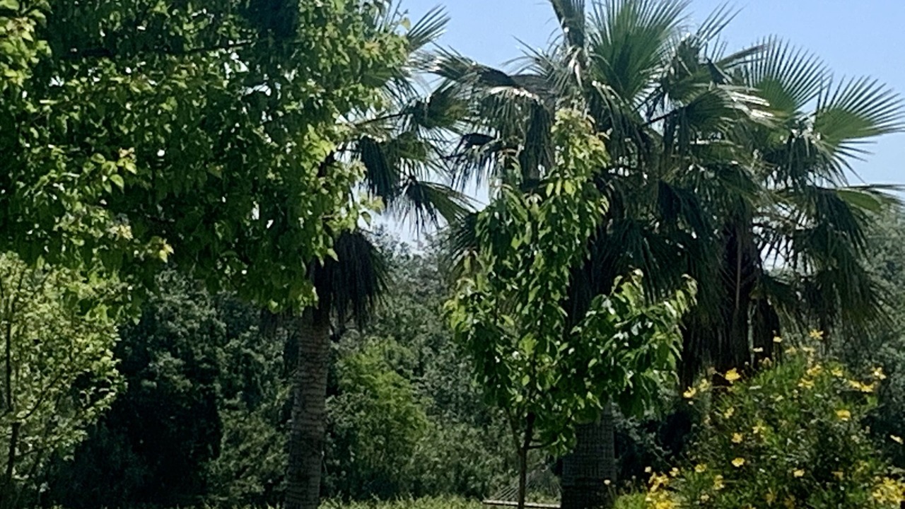 Photo of Outdoor in Vilobi Del Penedes