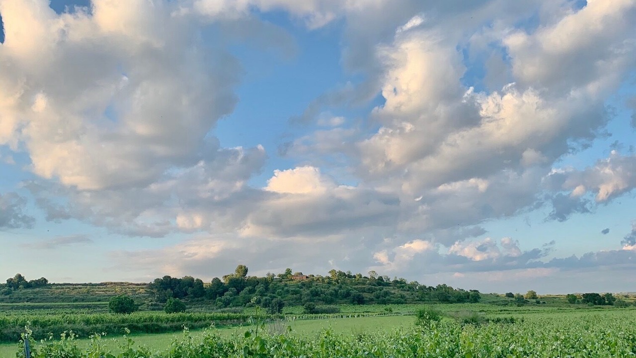 Photo of Outdoor in Vilobi Del Penedes