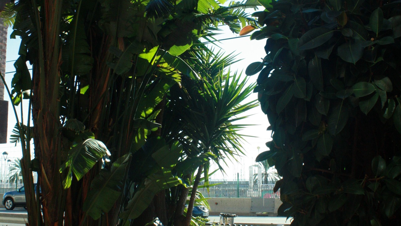 Photo of Outdoor in Masnou