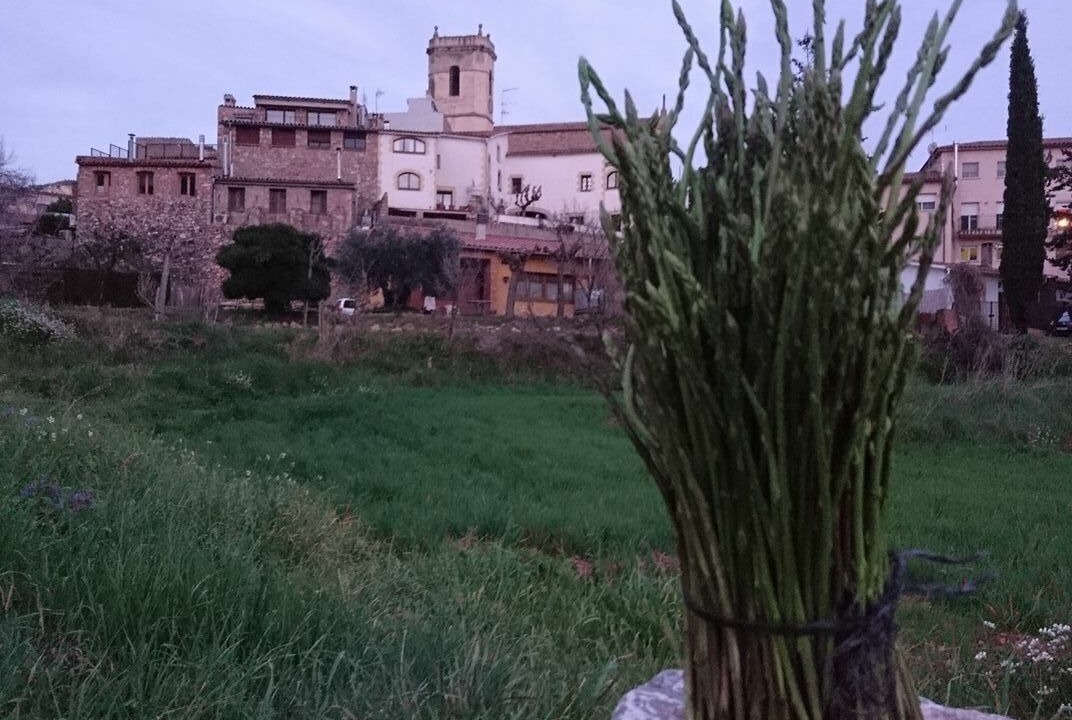 Photo of Outdoor in Riells del Fai