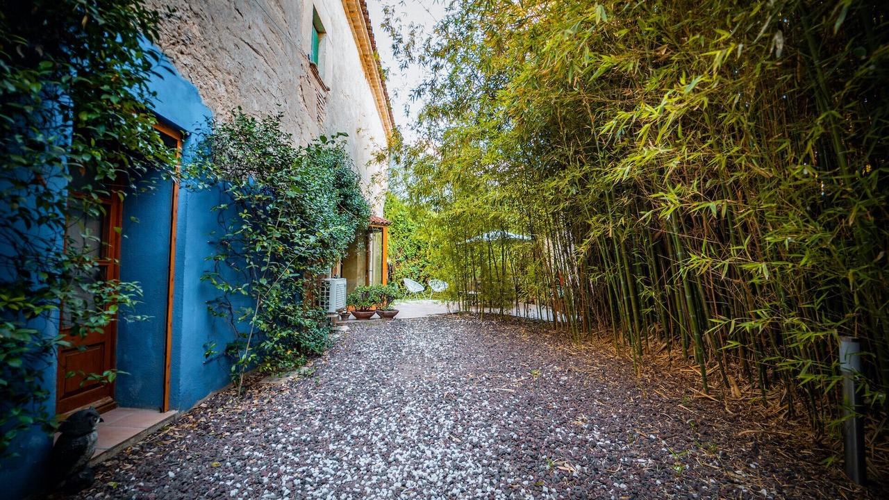 Photo of Outdoor in Sant Pere Molanta