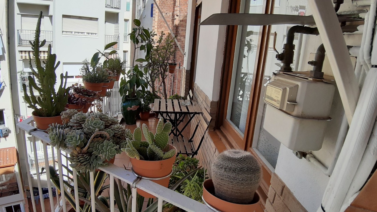 Photo of Outdoor in La Font de la Guatlla