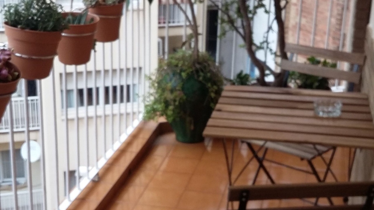Photo of Outdoor in La Font de la Guatlla