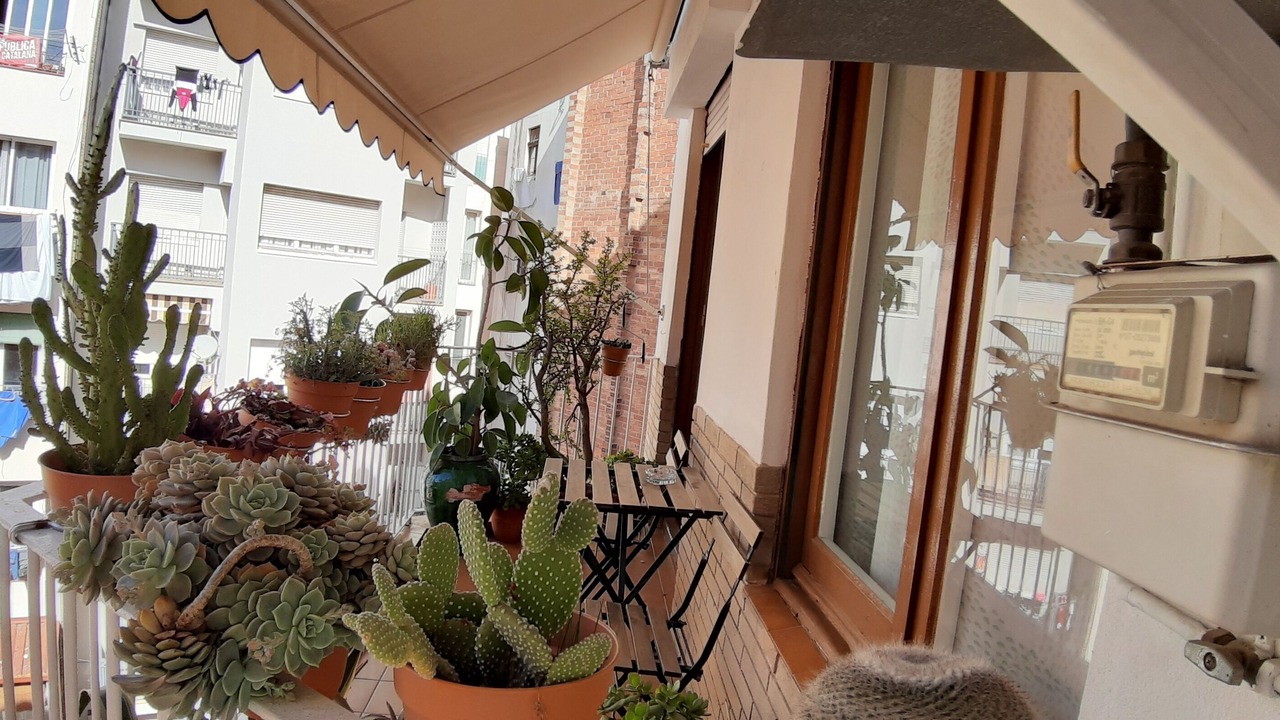 Photo of Outdoor in La Font de la Guatlla