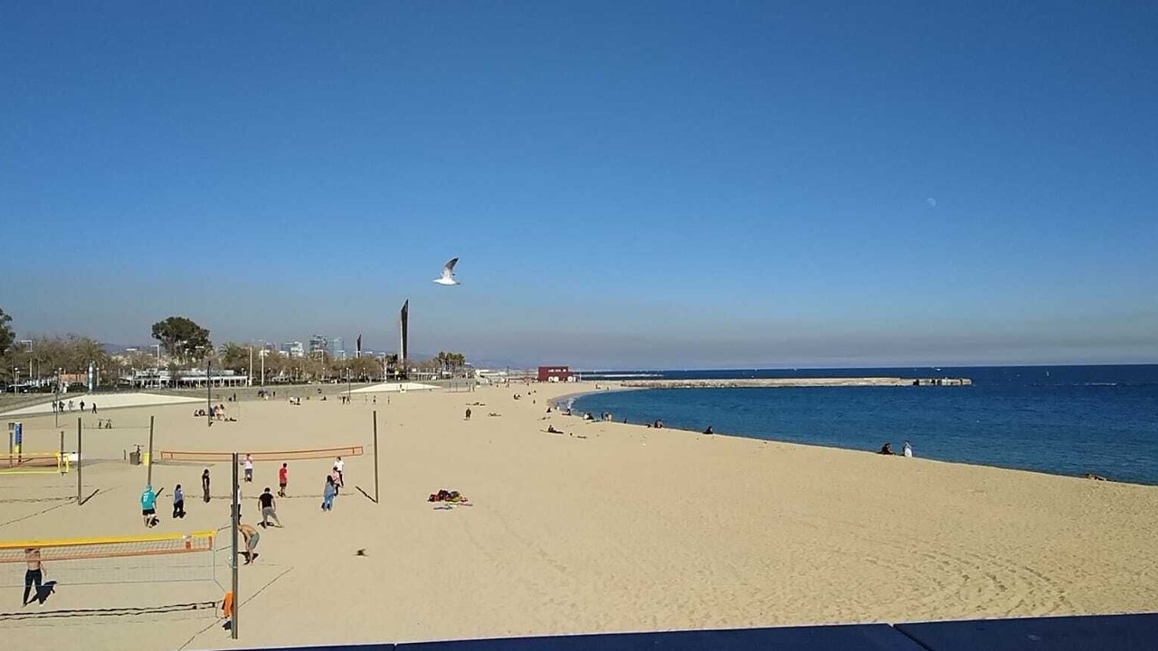 Photo of Others in Poblenou