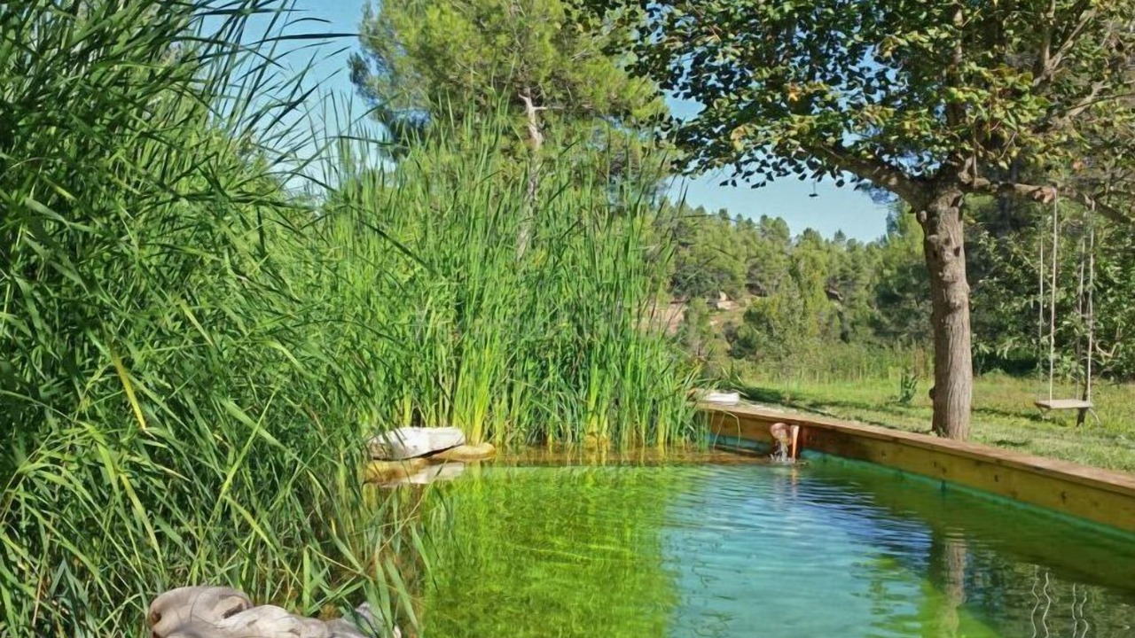 Photo of Outdoor in Artes