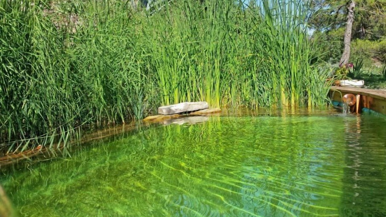 Photo of Outdoor in Artes