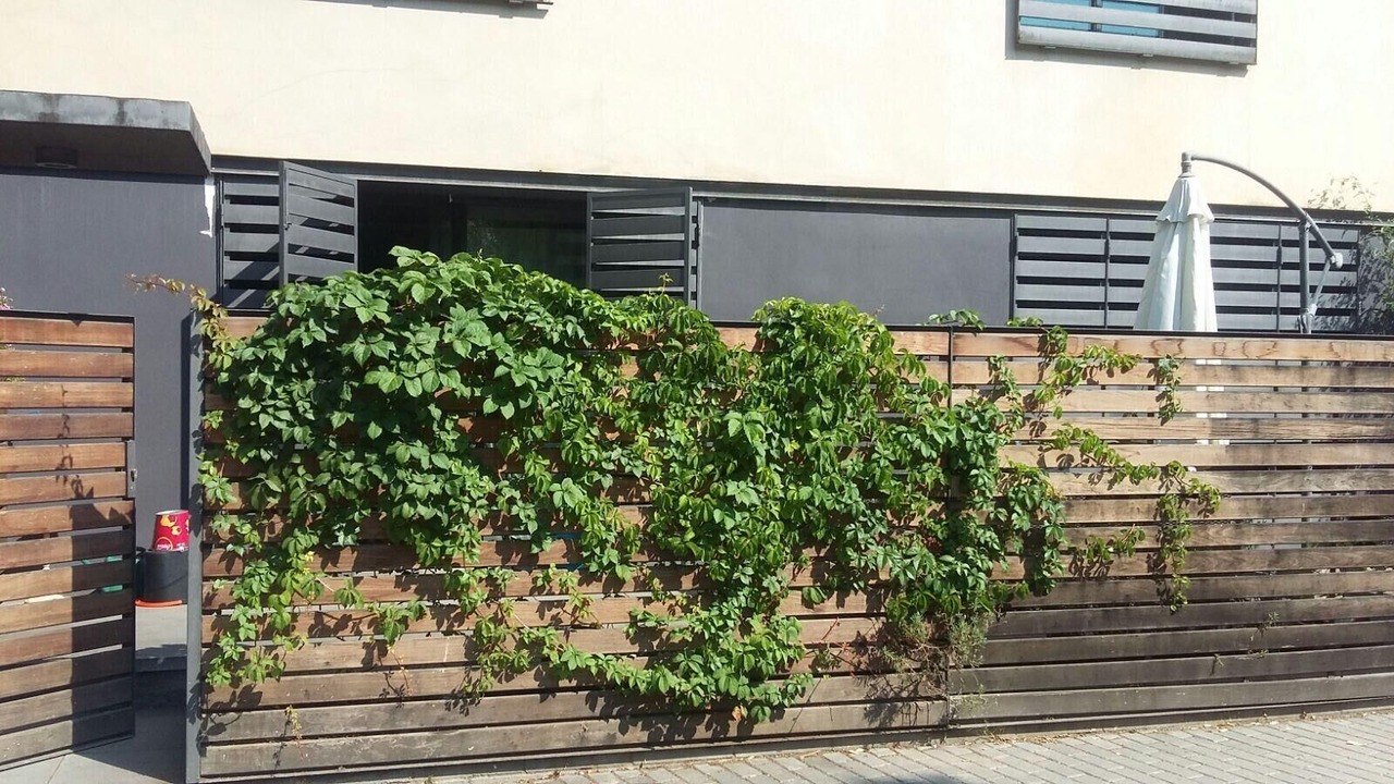 Photo of Outdoor in Poblenou