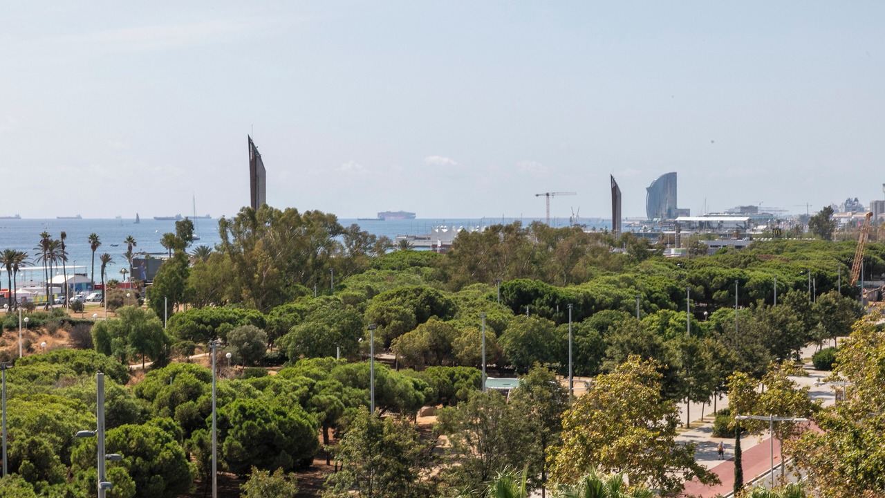Photo of Outdoor in Poblenou