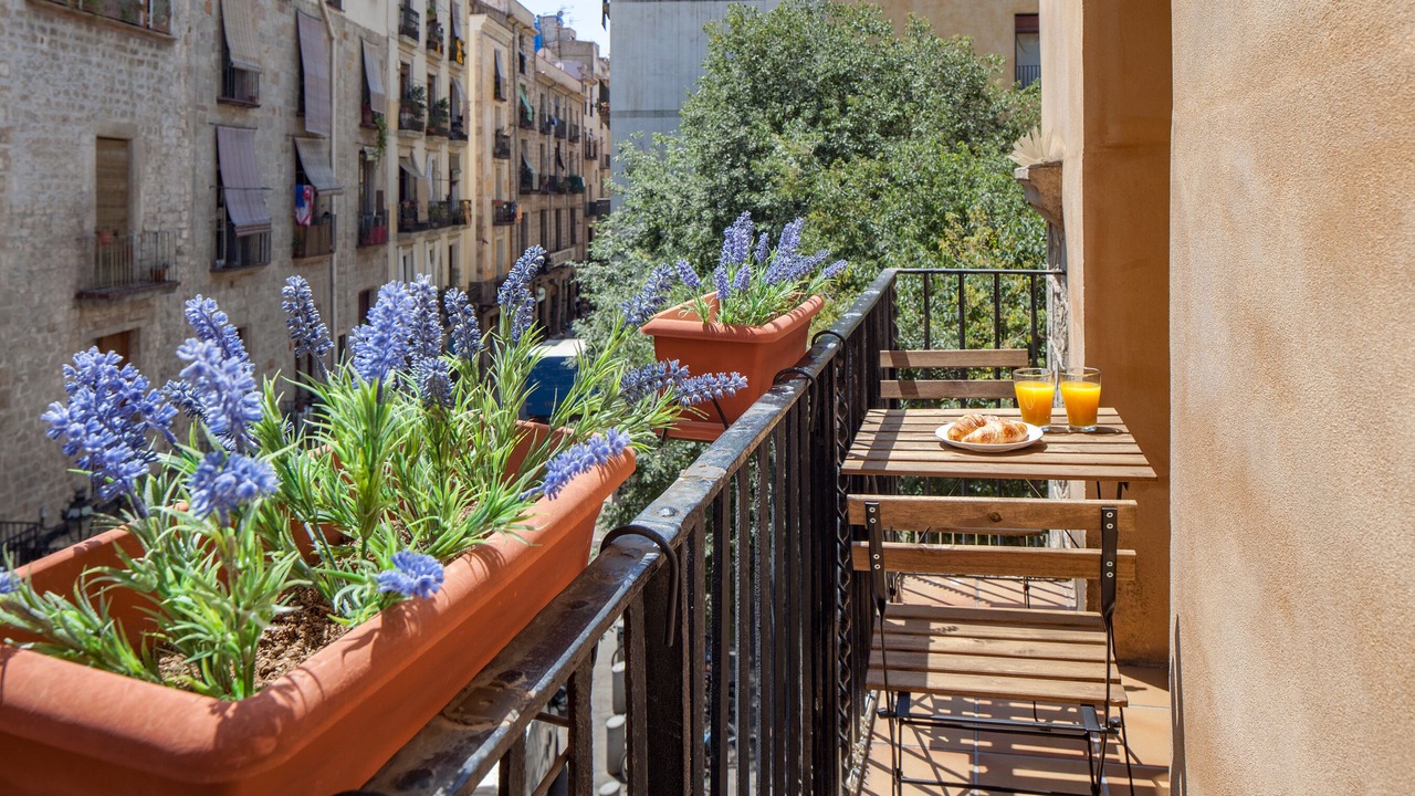 Photo of Outdoor in El Born