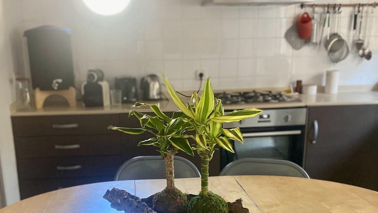 Photo of Kitchen in Vallvidrera