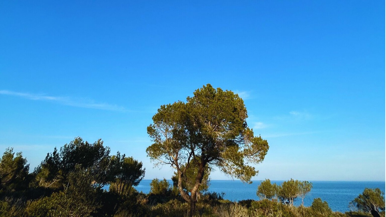 Photo of Others in Costa Dorada