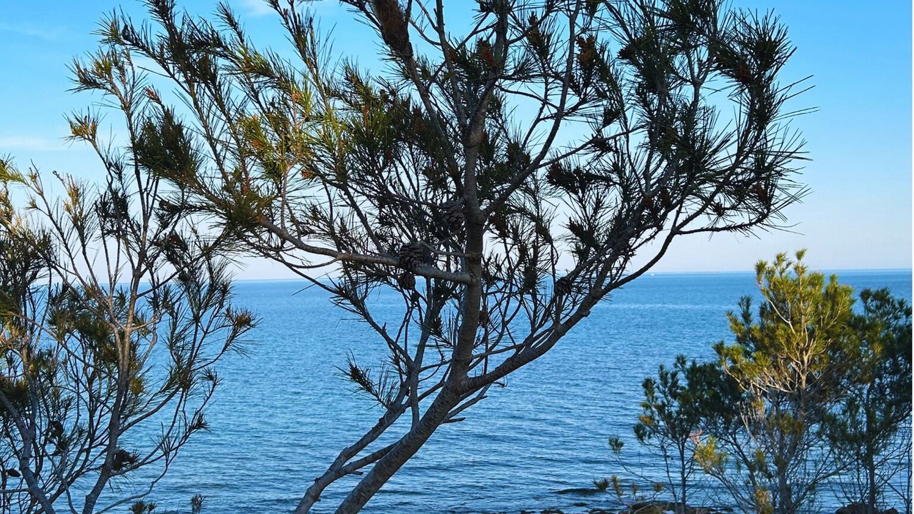 Photo of Others in Costa Dorada
