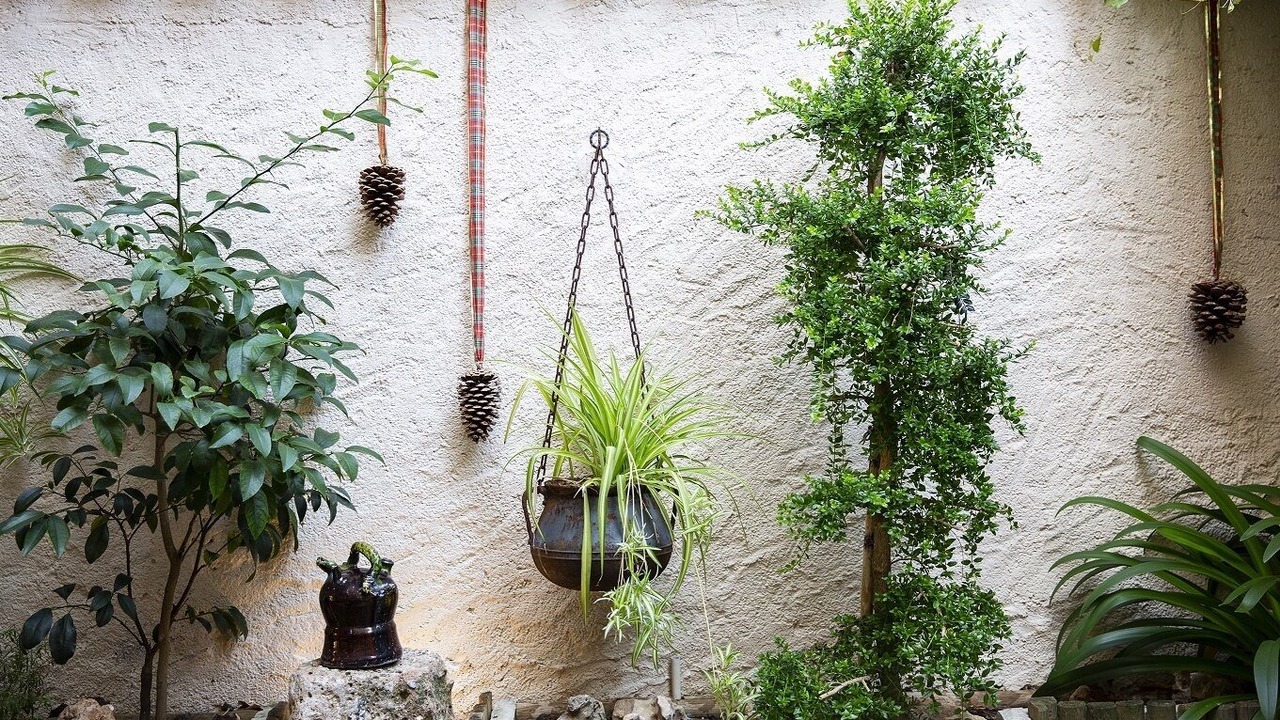 Photo of Outdoor in Torrelles de Foix