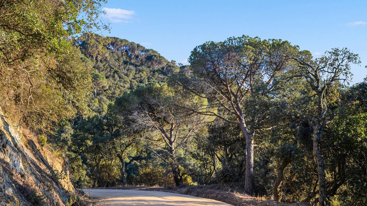 Photo of Others in Sant Cebria de Vallalta