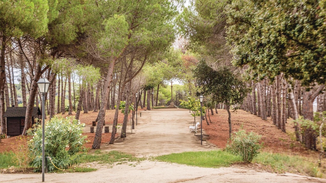 Photo of Others in Arenys de Munt