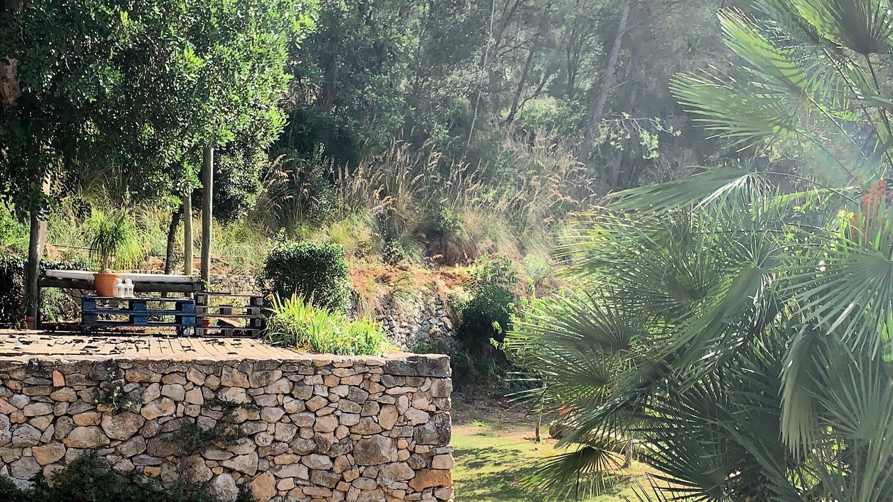 Photo of Outdoor in Sant Pere de Ribes