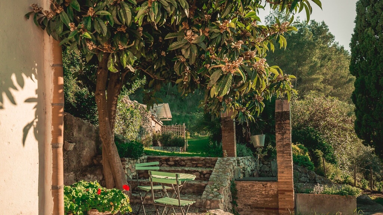 Photo of Patio Balcony in Sant Pere de Ribes