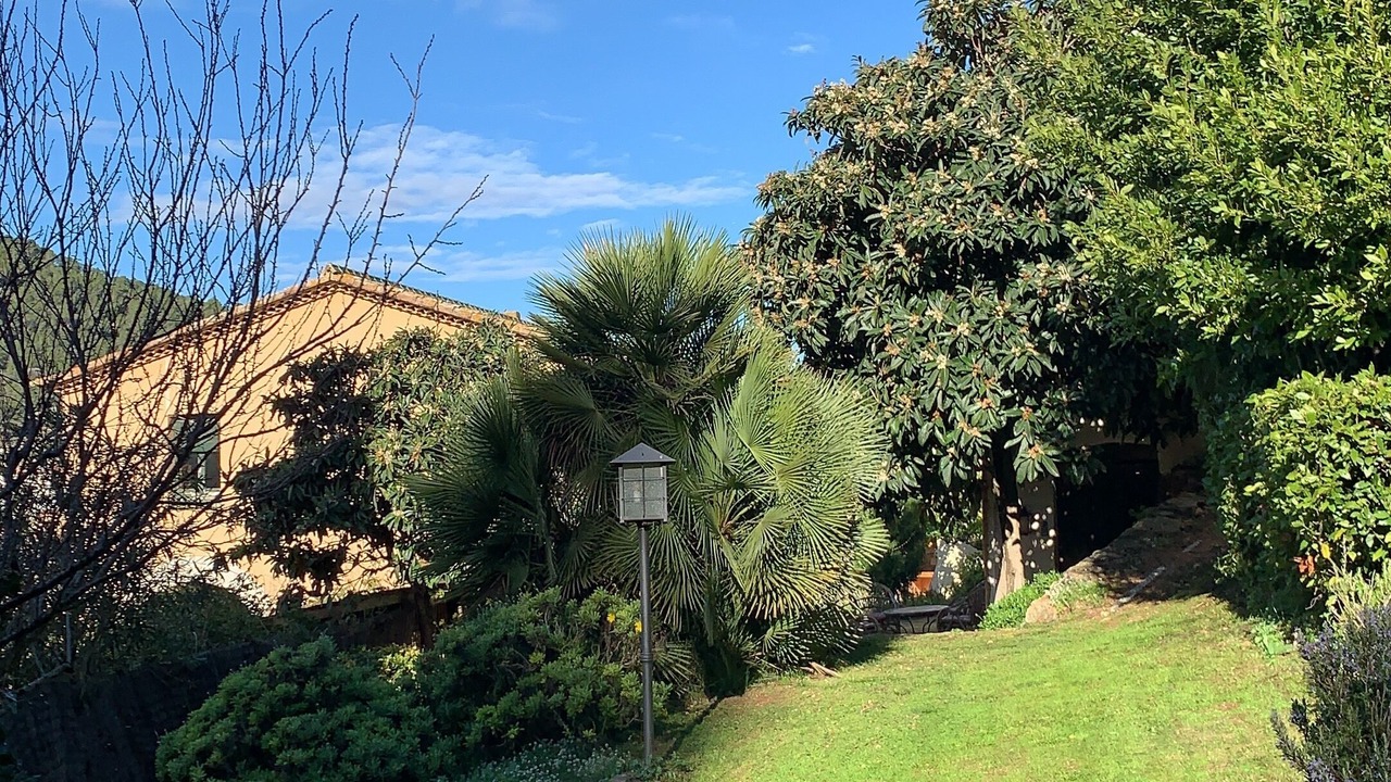 Photo of Outdoor in Sant Pere de Ribes