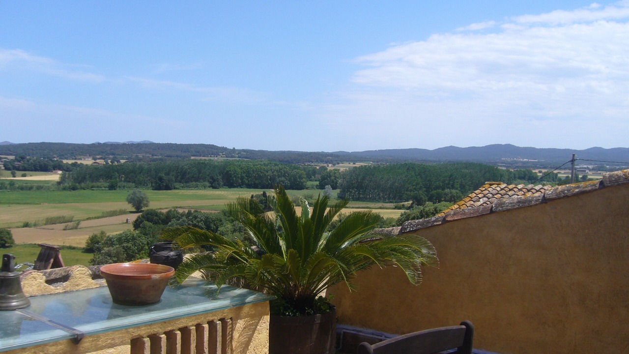 Photo of Patio Balcony in Cruilles