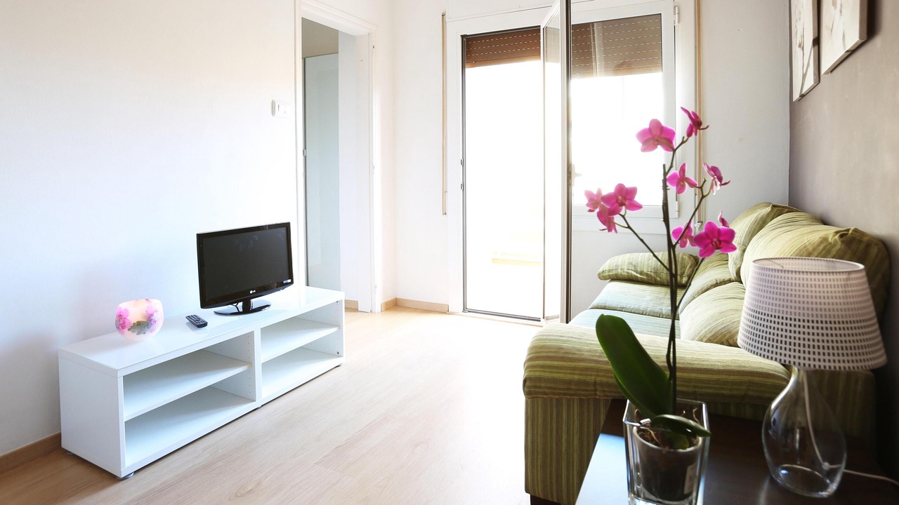 Photo of Livingroom in el Camp d'en Grassot i Gracia Nova