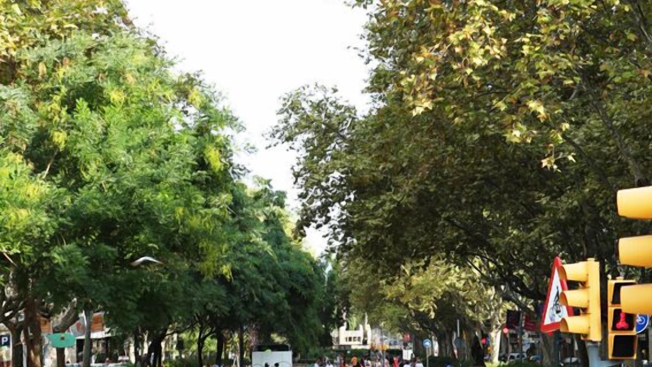 Photo of Outdoor in el Camp d'en Grassot i Gracia Nova