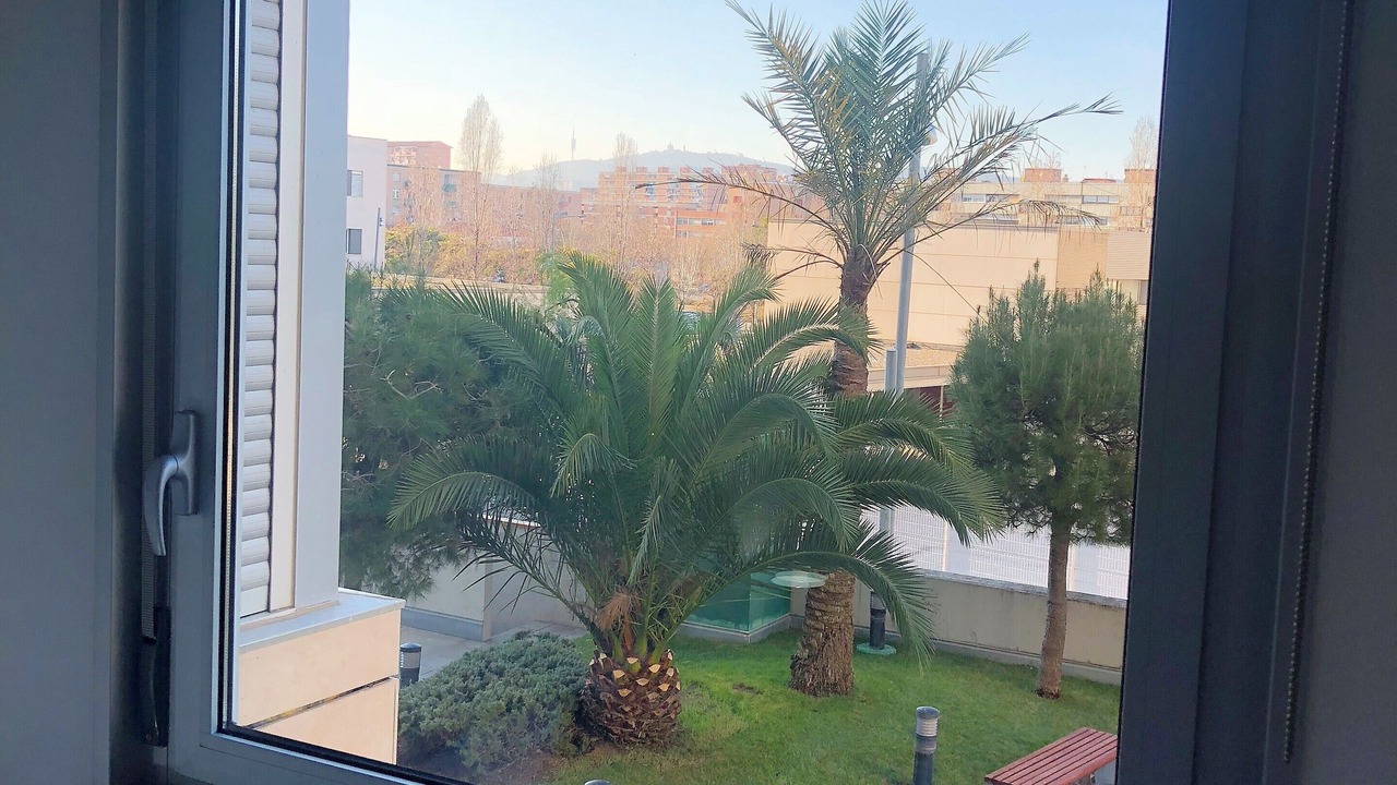 Photo of Others in Barcelona