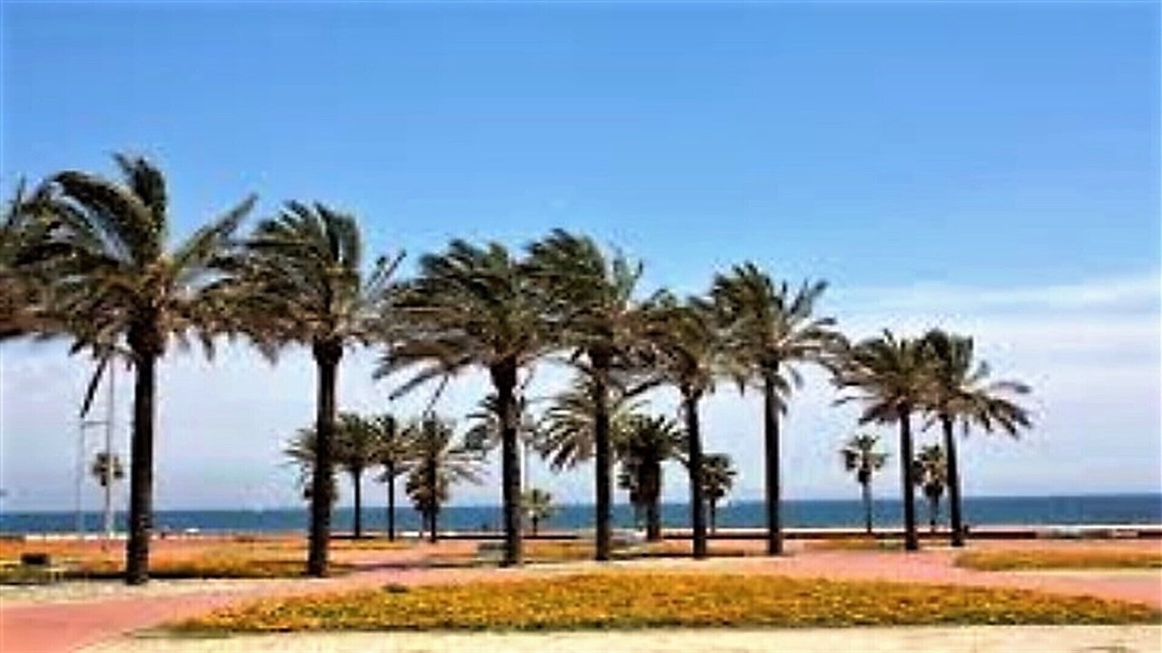 Photo of Others in Barcelona