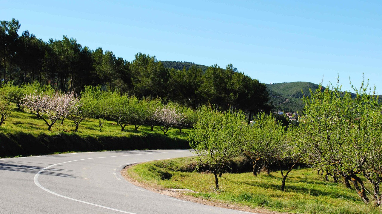 Photo of Outdoor in Castellet