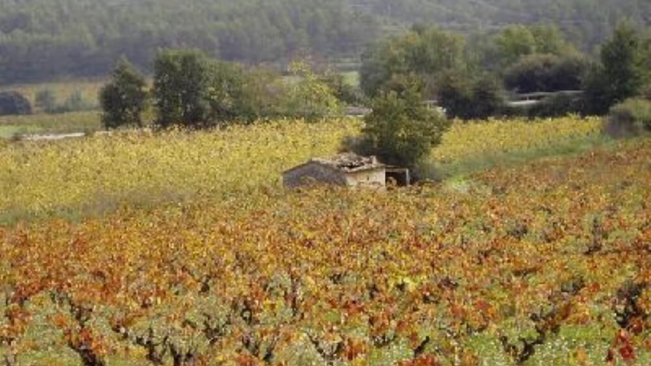 Photo of Others in Castellet