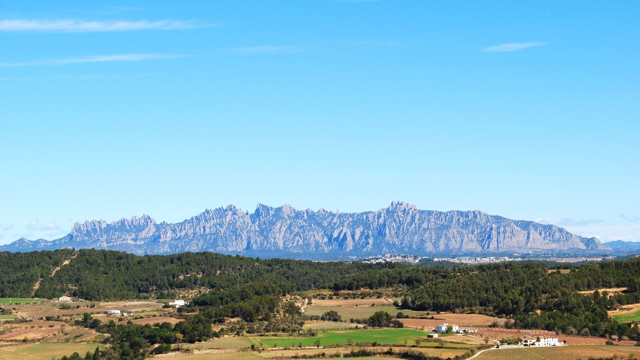 Photo of Others in Castellet