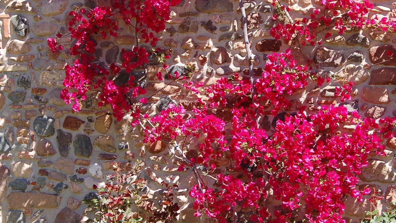 Photo of Outdoor in Corro de Vall