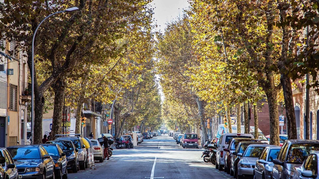 Photo of Others in Poblenou