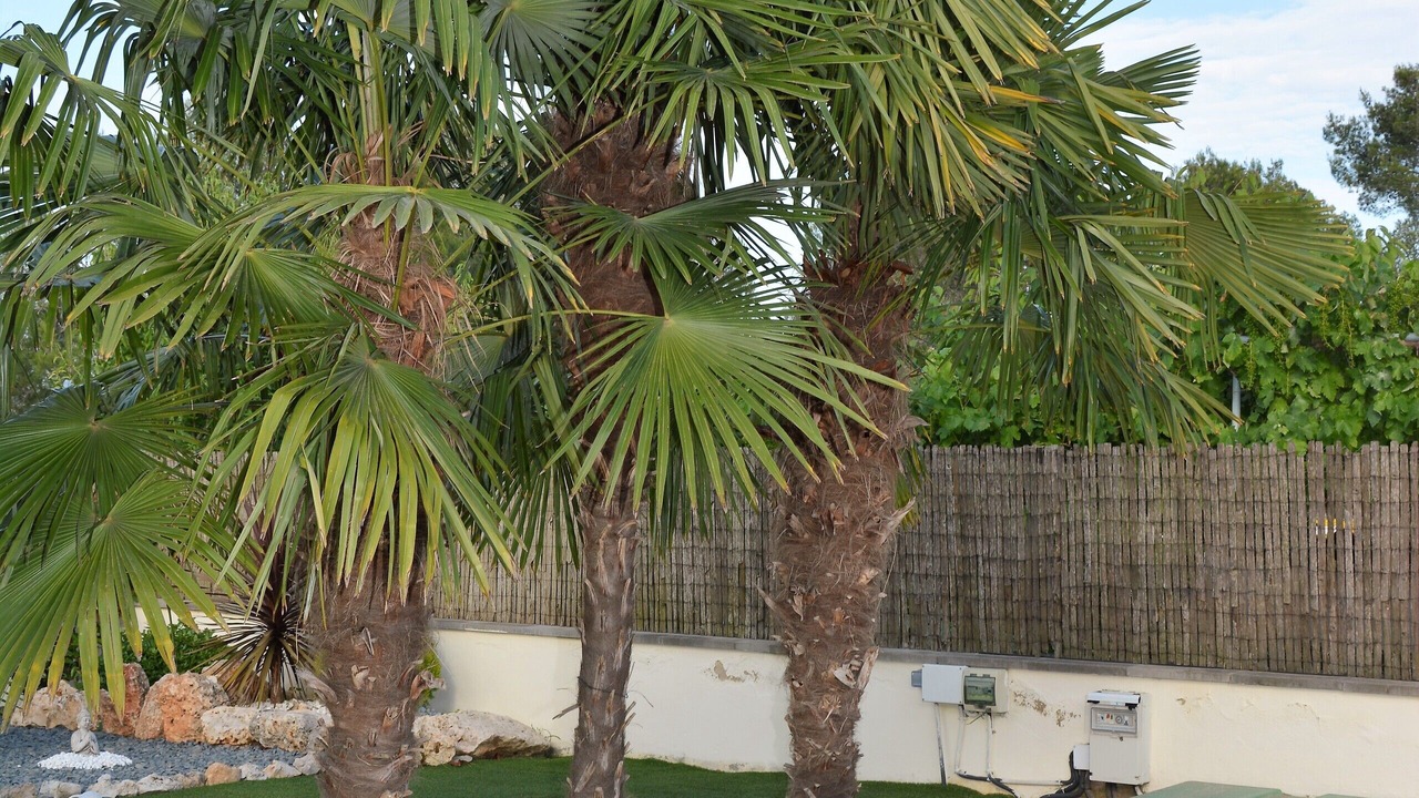 Photo of Outdoor in Sitges