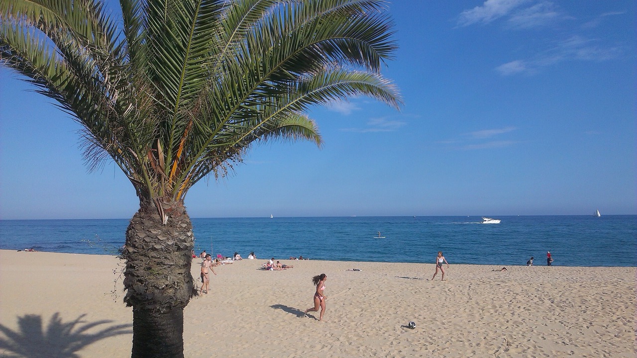 Photo of Others in Sant Vicenc de Montalt