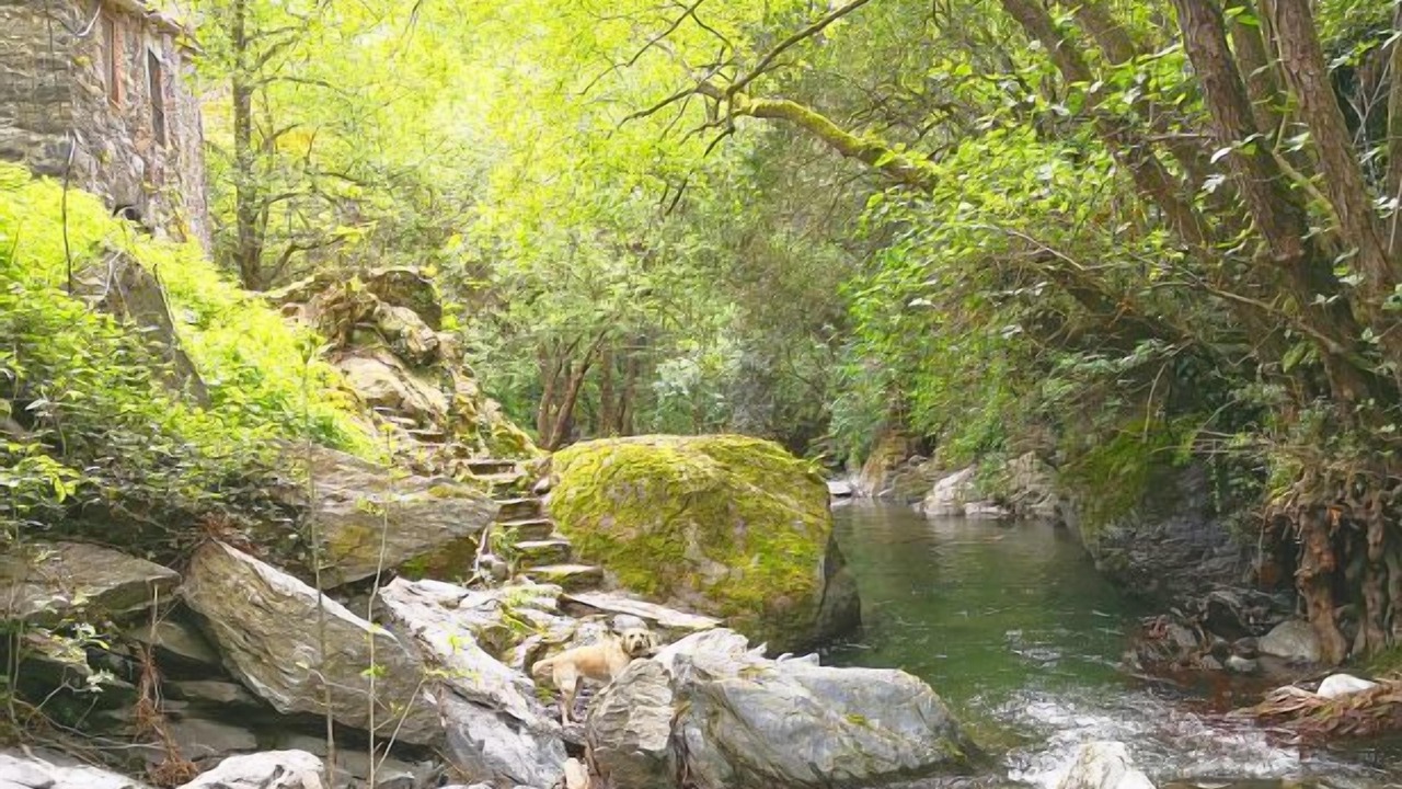 Photo of Outdoor in Fogars de Montclus