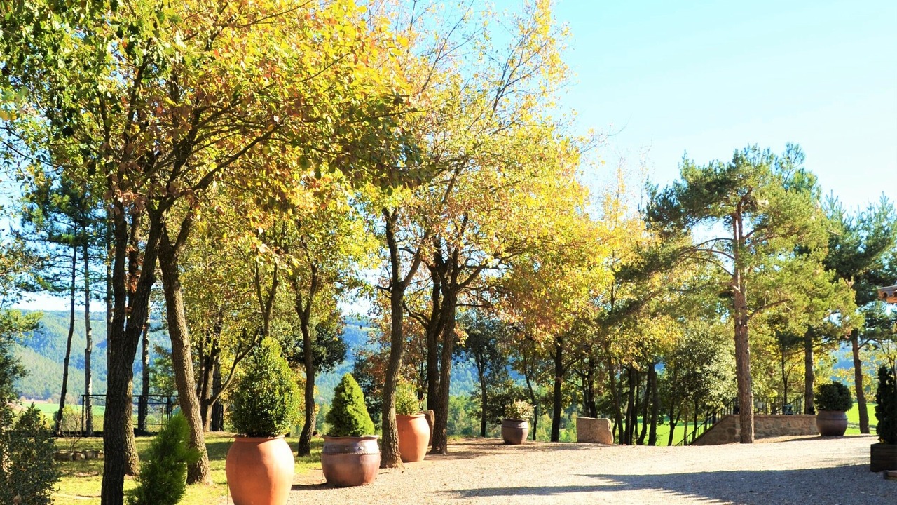 Photo of Outdoor in Olost