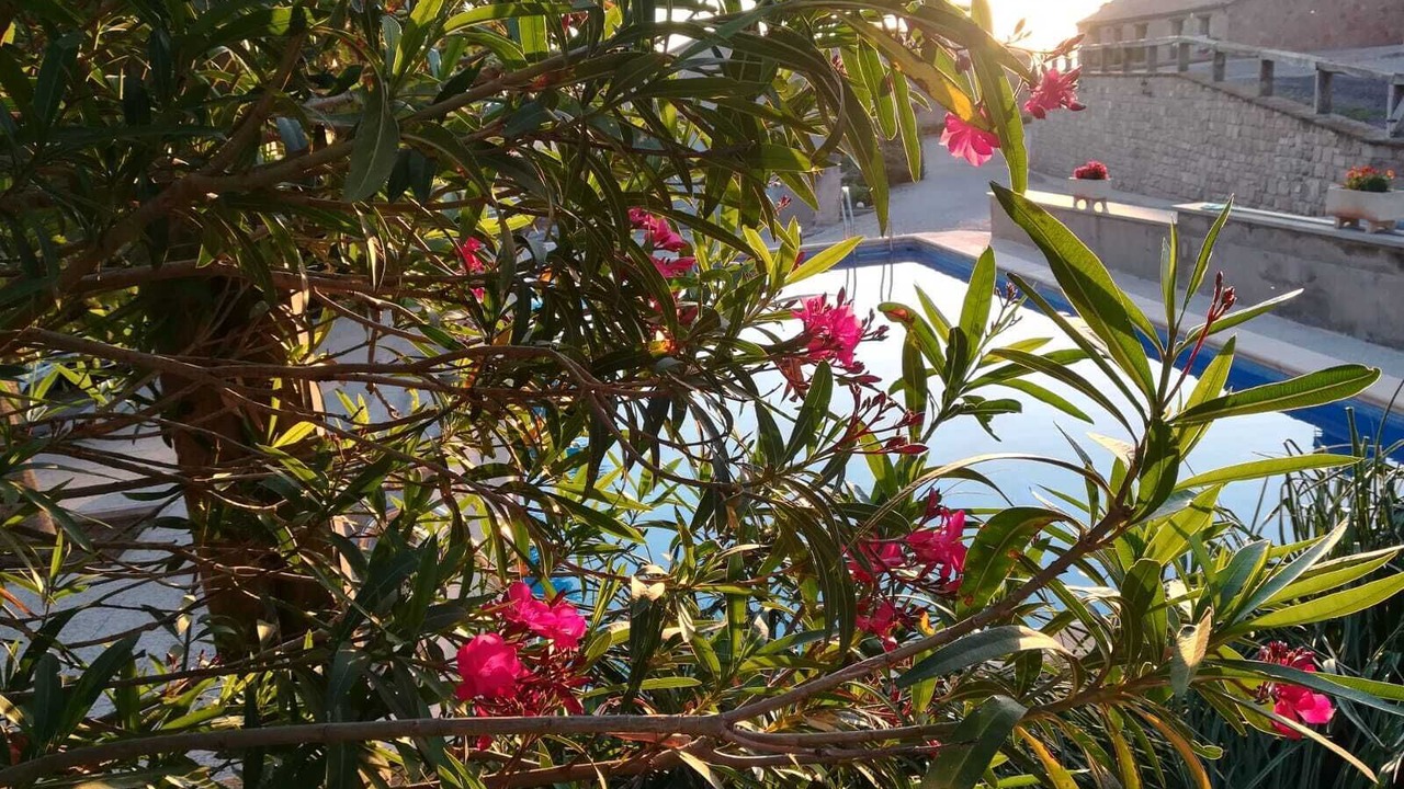 Photo of Outdoor in Els Prats de Rei