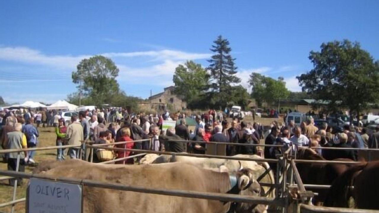 Photo of Others in Sant Boi de Llucanes