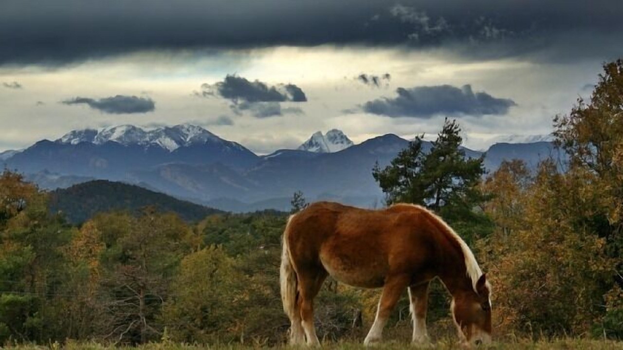 Photo of Outdoor in Sant Boi de Llucanes