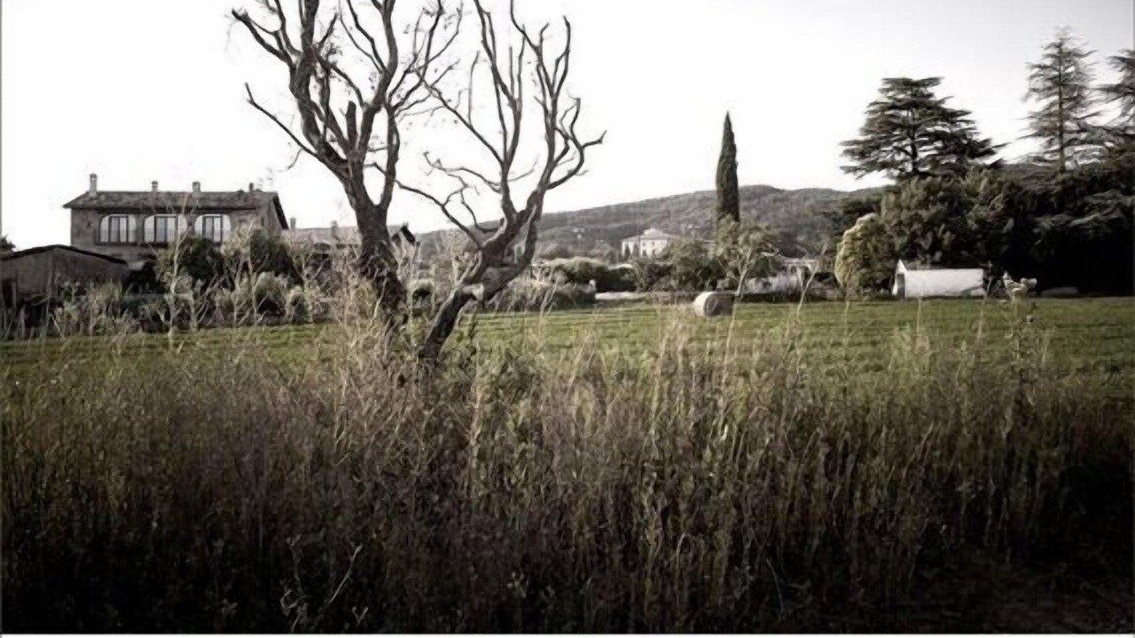 Photo of Outdoor in Sant Boi de Llucanes