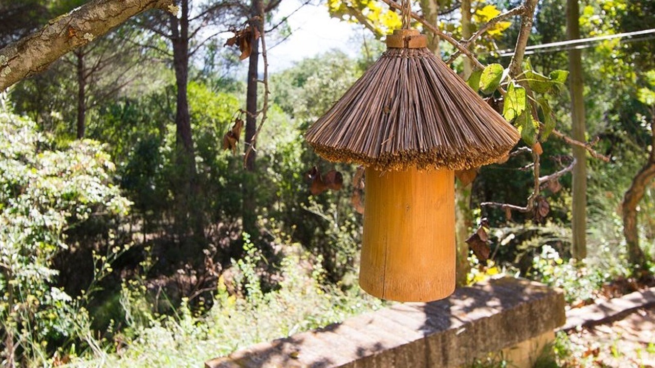 Photo of Outdoor in Gualba de Dalt