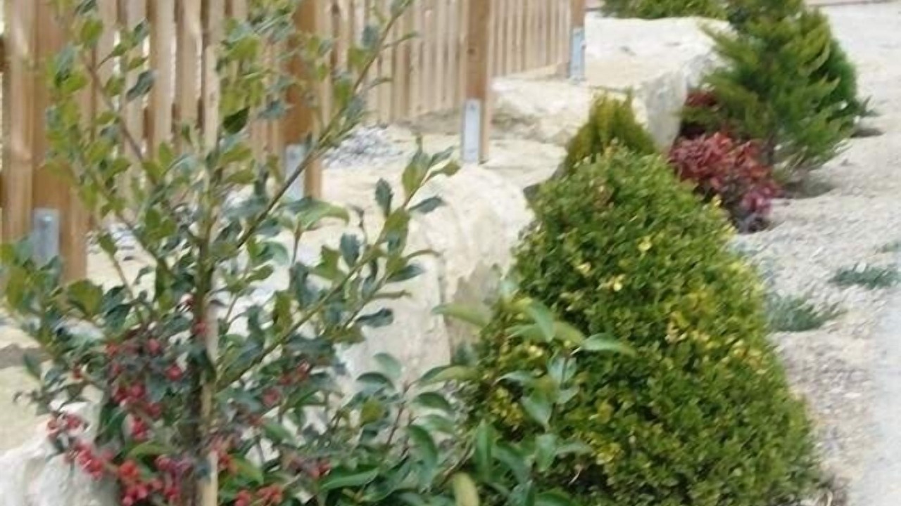 Photo of Outdoor in Calaf