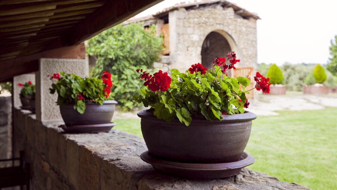 Photo of Outdoor in Navas