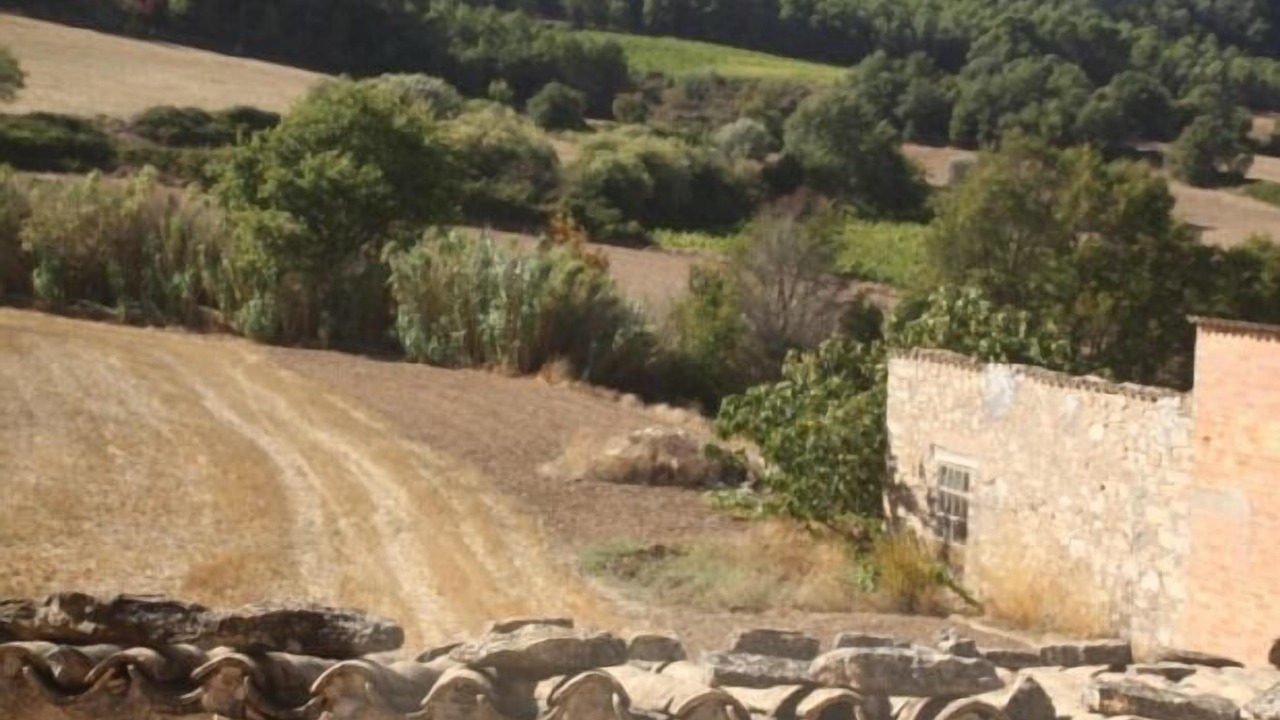 Photo of Outdoor in La Llacuna