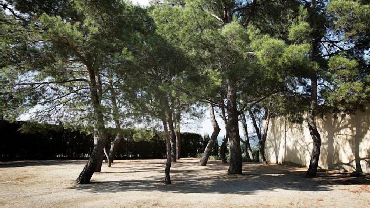 Photo of Outdoor in Puigdalba