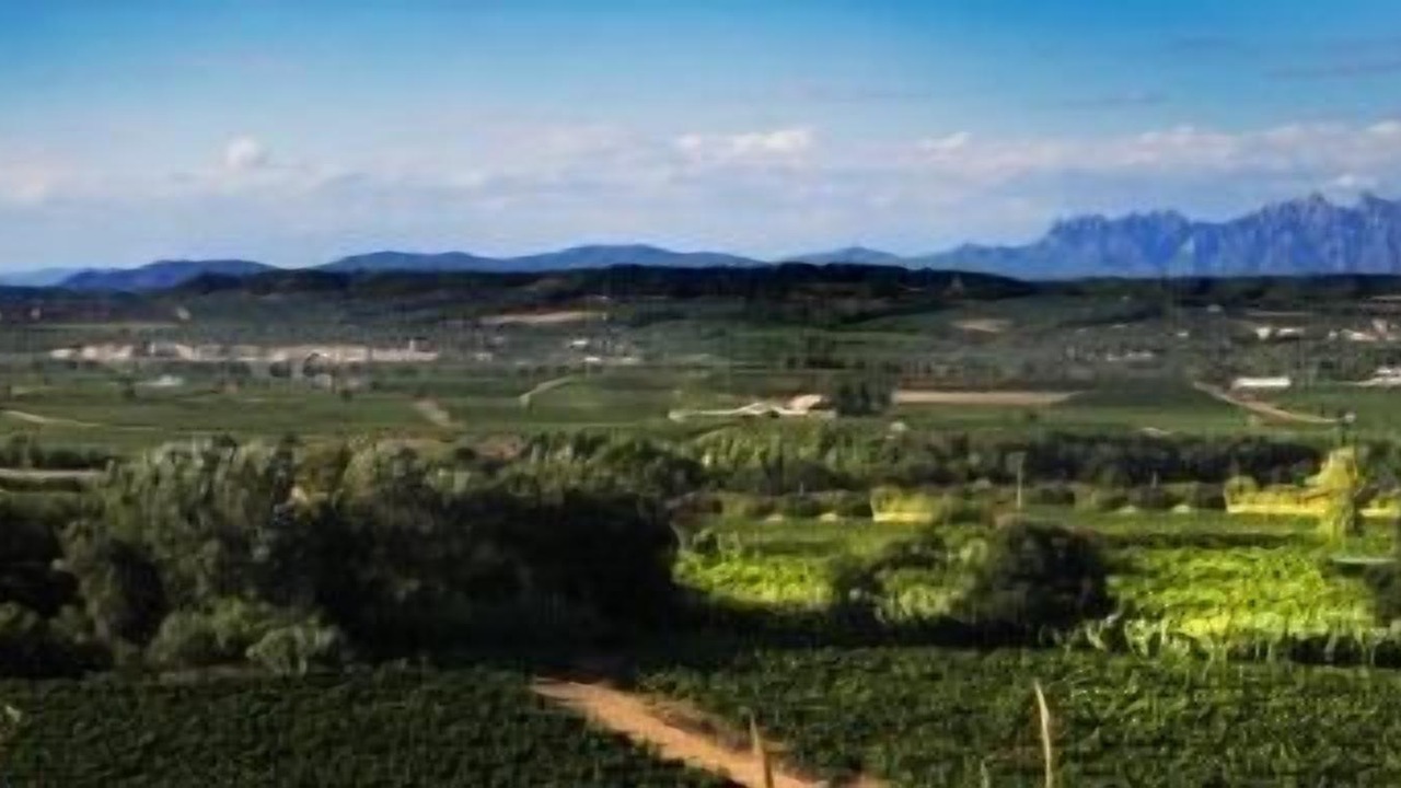 Photo of Outdoor in Puigdalba
